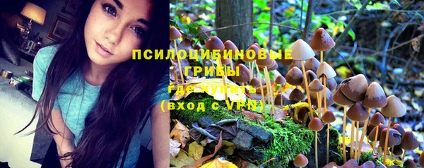 прущий лед Алексин