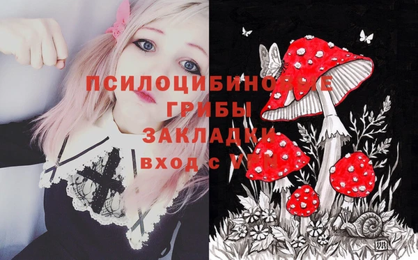 гашик Саяногорск